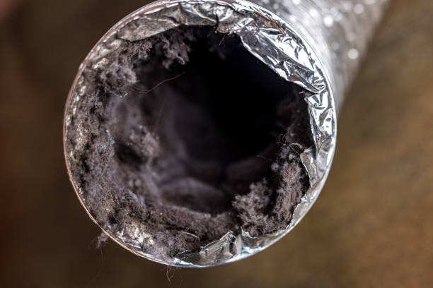 Best Home Air Vent Cleaning  in Vian, OK