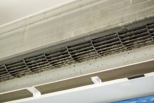 Best Residential Air Duct Cleaning  in Vian, OK